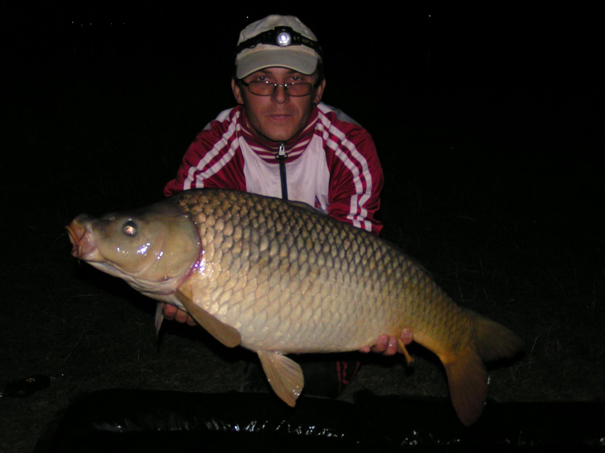 Adunate... - pict0014.JPG